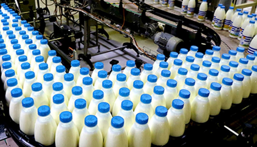 «Молочная схема»: бизнесмен поставил на колени целую отрасль ярославского АПК