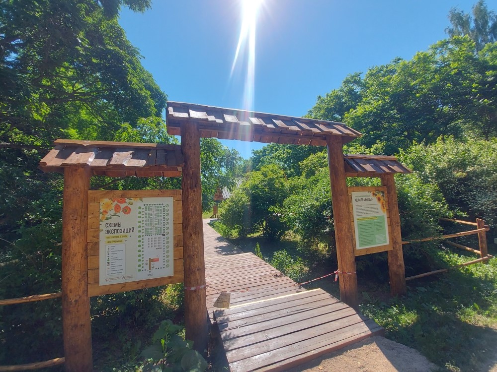 Дендрологический сад национального парка «Плещеево озеро» отметил юбилей