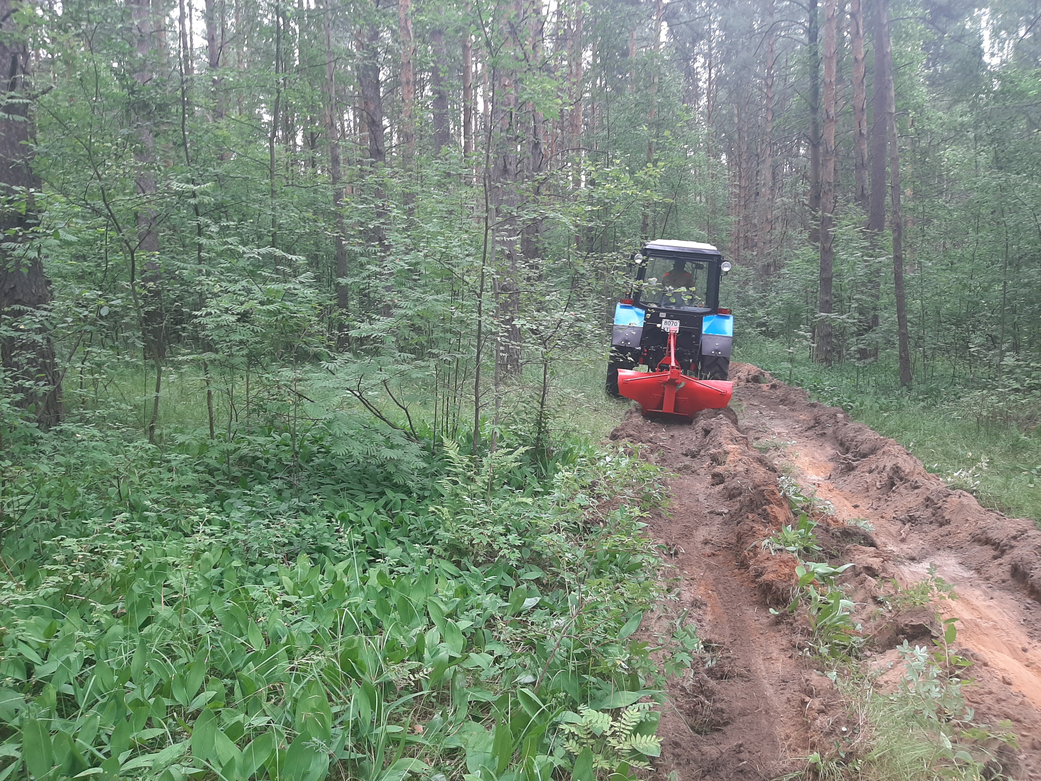 Более 500 километров минерализованных полос создано в Ярославской области для защиты лесов от пожаров