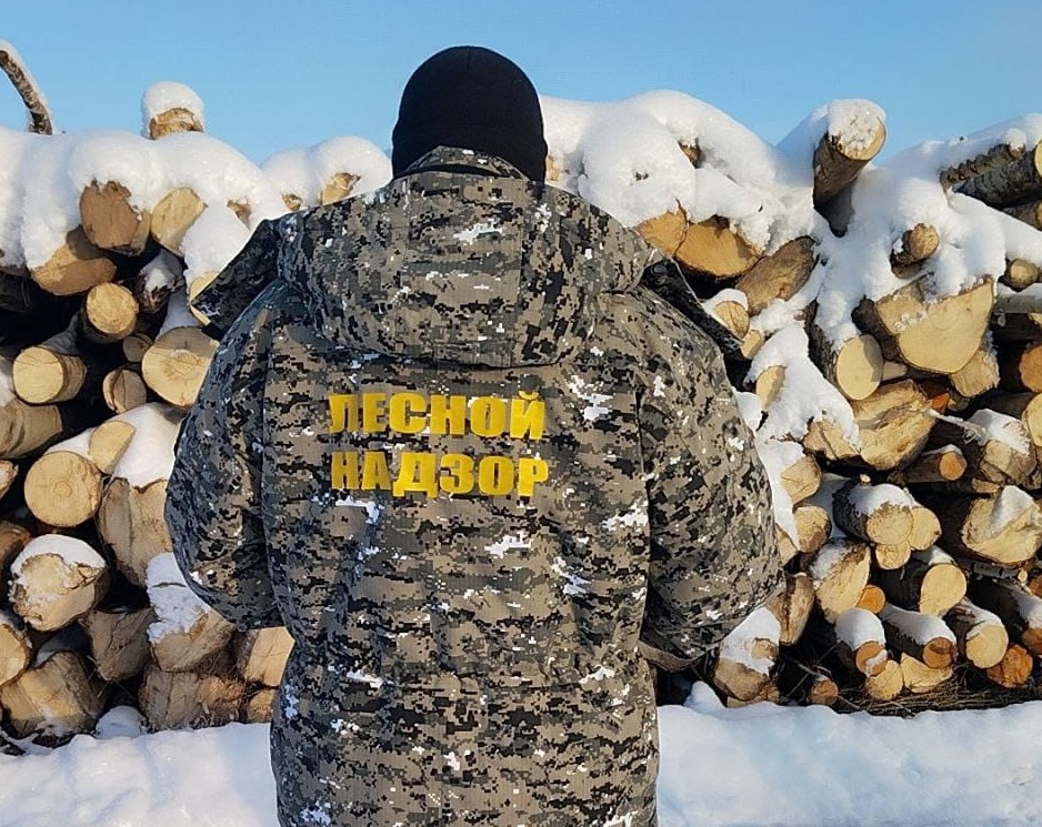 Количество лесных инспекторов в Ярославской области будет увеличено
