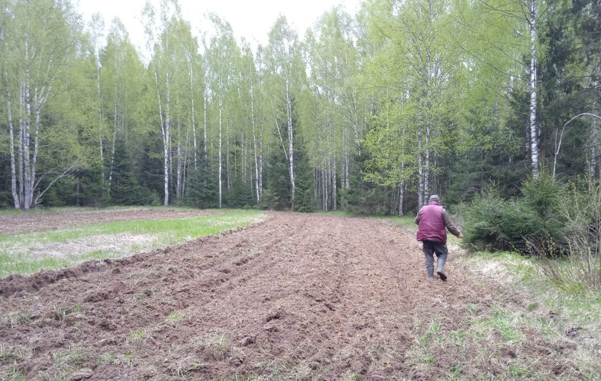 В Ярославской области началась распашка подкормочных полей